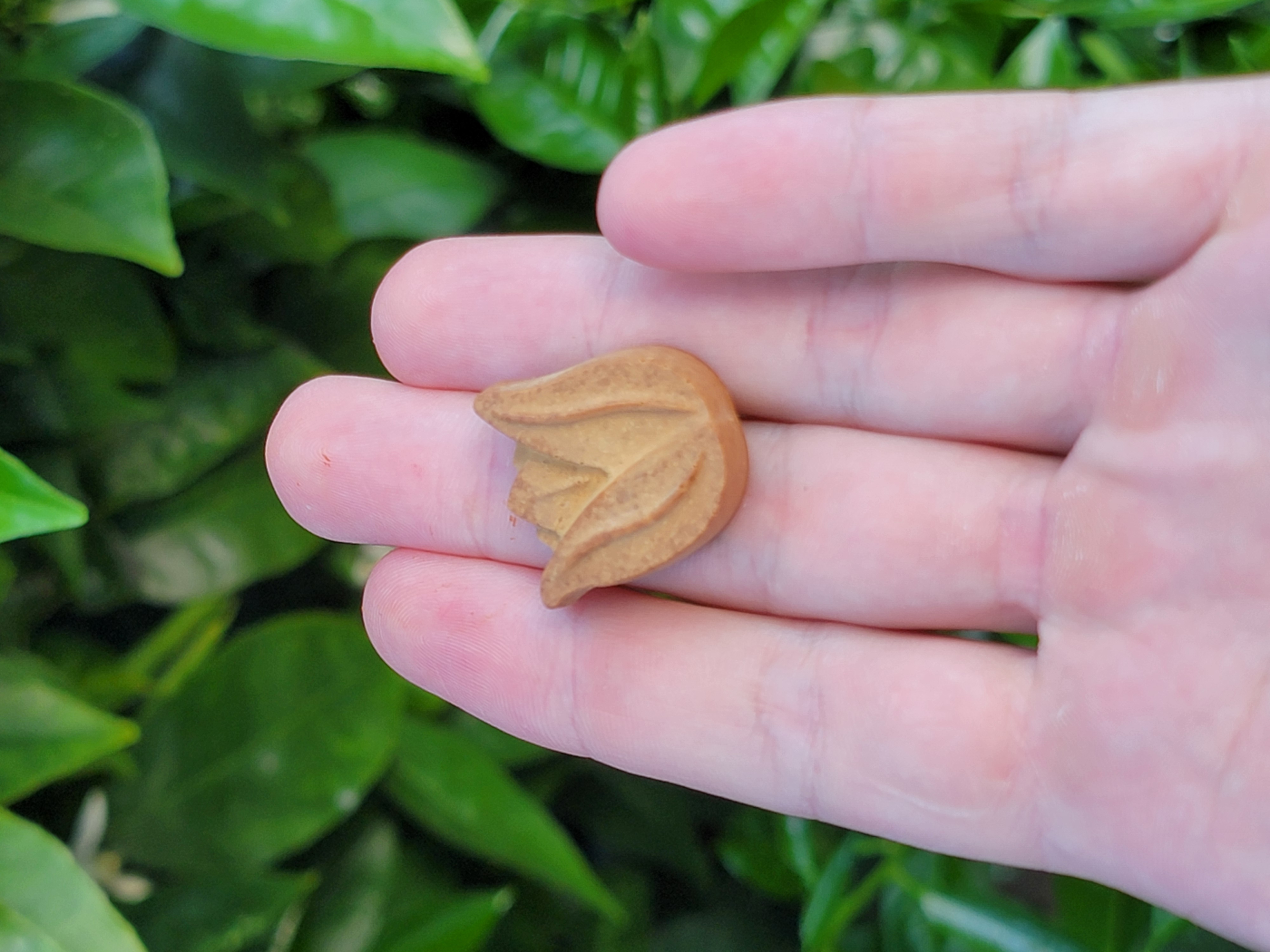 Bay Nut Chocolate Making